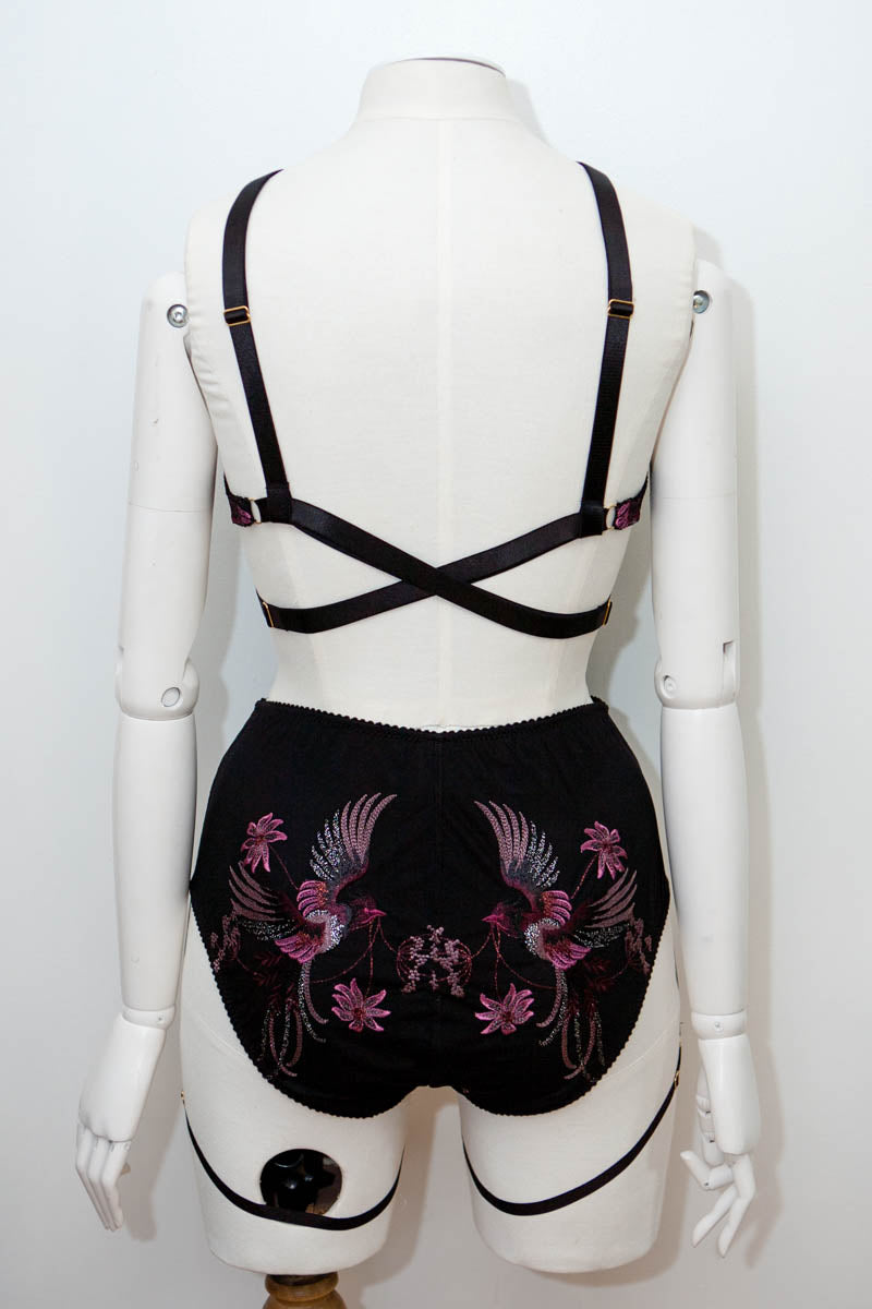 'Phoenix' Embroidered Tulle & Microfibre Pole Dancing Lingerie Set