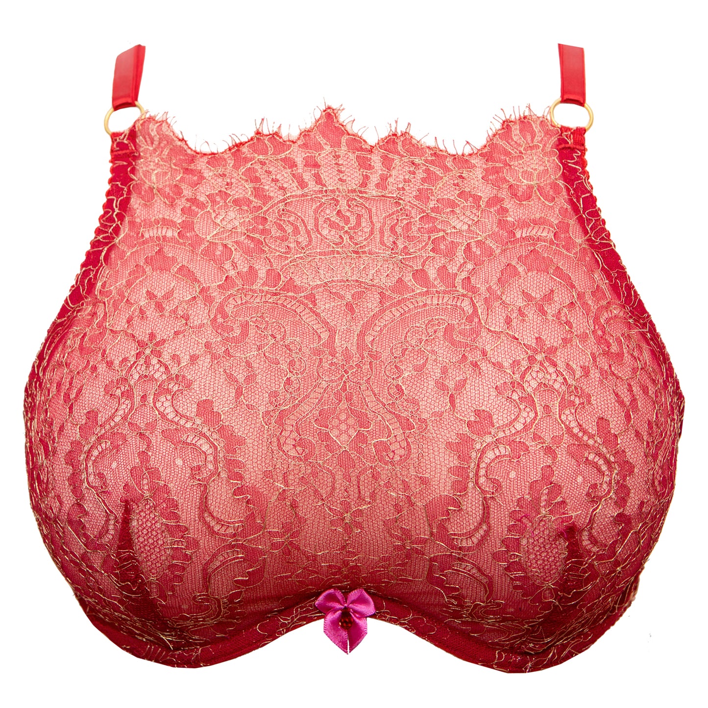 Hecate Rouge French Lace High Neck Monowire Bra