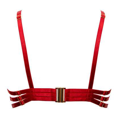 Hecate Rouge French Lace High Neck Monowire Bra