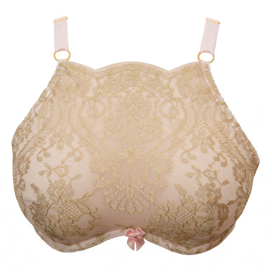 Dorée French Lace High Neck Monowire Bra