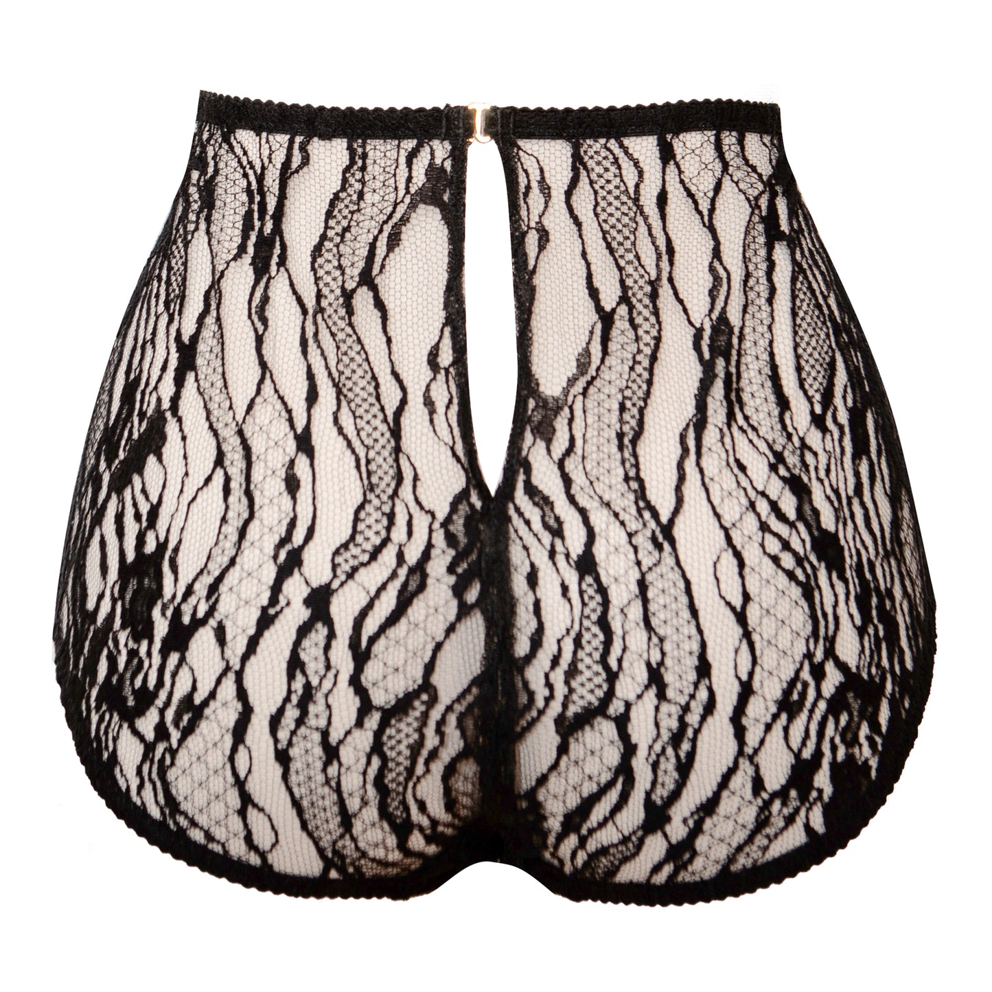 Atropos Lace Full Cut Briefs