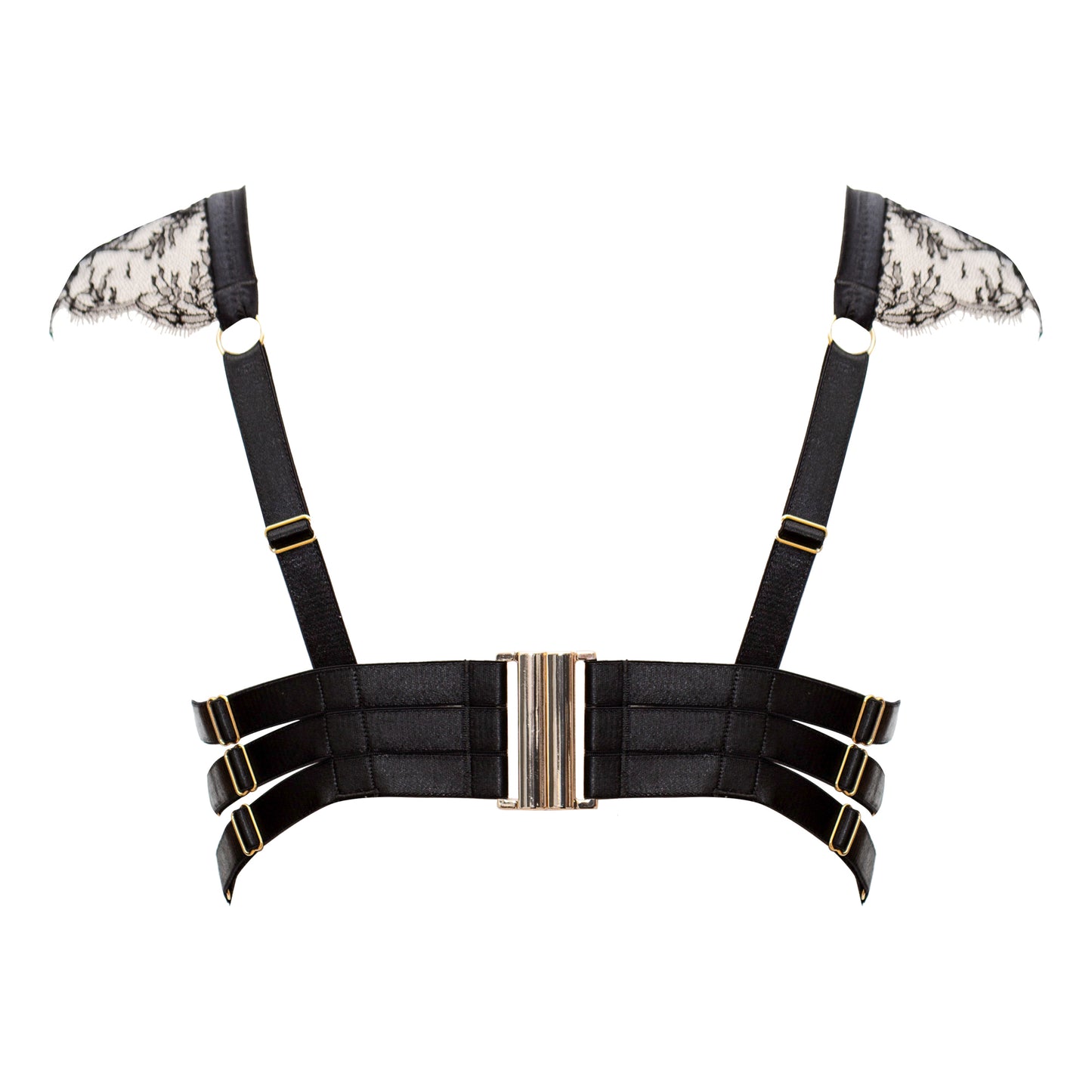Lachesis Darted Cup & Cap Sleeve Bra